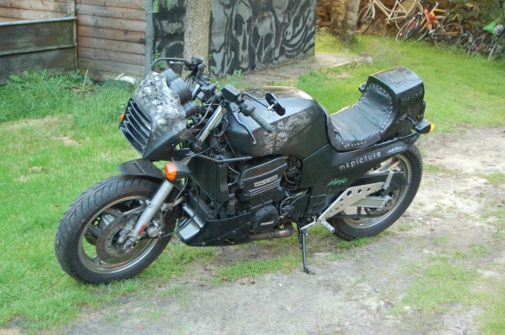 DSC_5123 15cm